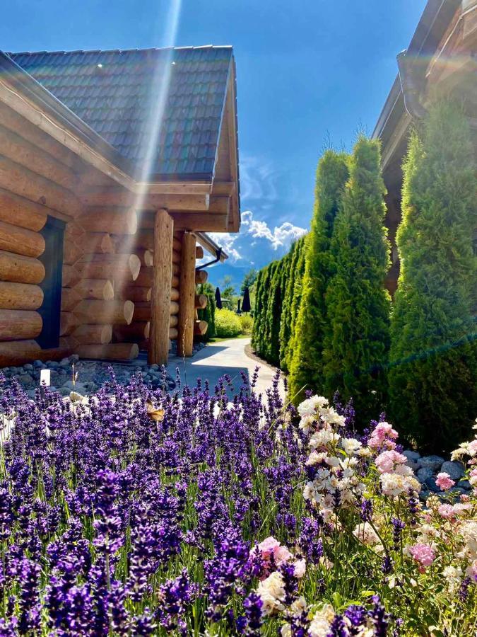 בניה Alpina Luxury Chalets מראה חיצוני תמונה